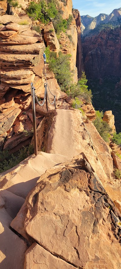 A bit of arrogance reared it's ugly head. My hikes were not going to be routine, on paved paths or easy walks in the park without any elevation. Oh no I was going to achieve much grander results.
